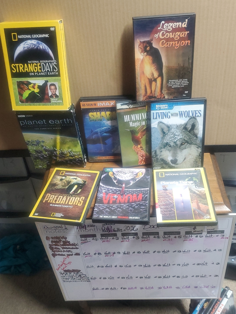 National Geographic DVD Nature Collection - Yellow & Black Accents